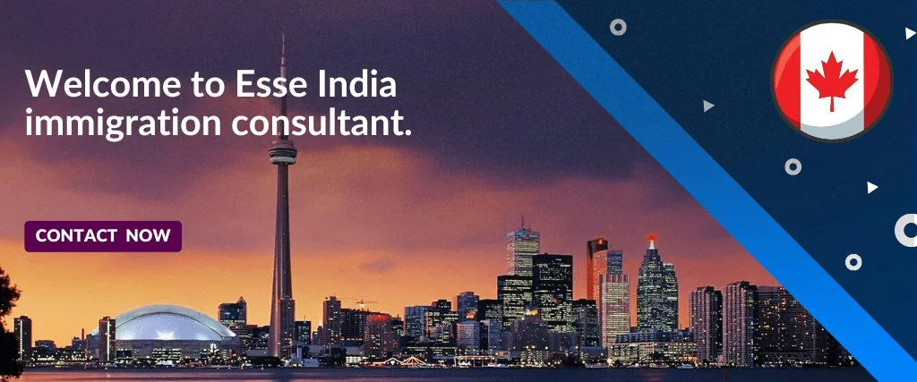 How Esse India Deals in Immigration and Consultancy Services?