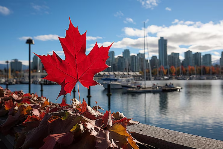 Immigration to canada 2025